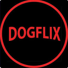 Dogflix Limeira